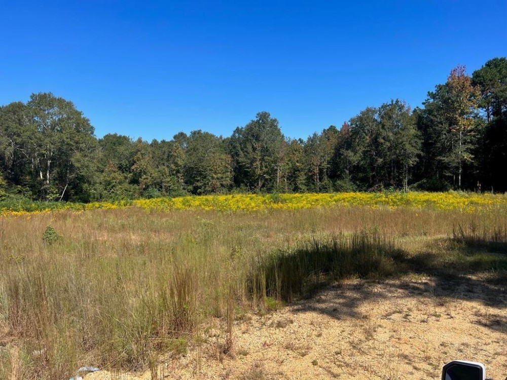 7.62 Acres Land for Sale 2 Miles West of I-55 Summit MS featured image