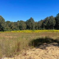 7.62 Acres Land for Sale 2 Miles West of I-55 Summit MS