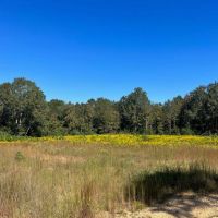 7.62 Acres Land for Sale 2 Miles West of I-55 Summit MS images 2