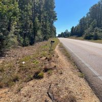 7.62 Acres Land for Sale 2 Miles West of I-55 Summit MS images 3