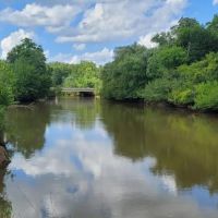 145 ACRES HATCHIE RIVER FRONTAGE. BIG DEER FOOD PLOTS JOINS HWY 64