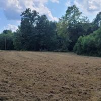 145 ACRES HATCHIE RIVER FRONTAGE. BIG DEER FOOD PLOTS JOINS HWY 64 images 4