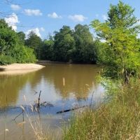 145 ACRES HATCHIE RIVER FRONTAGE. BIG DEER FOOD PLOTS JOINS HWY 64 images 5