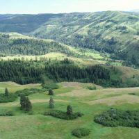 Branch Keyhole Ranch
