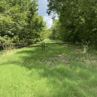 LA 554 images 2