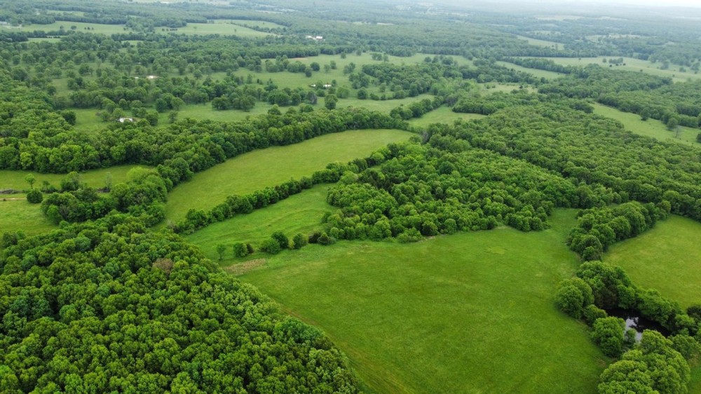 281 Acre 60 40 Timber Pasture in Camden County Missouri featured image