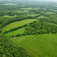 281 Acre 60 40 Timber Pasture in Camden County Missouri