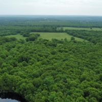 281 Acre 60 40 Timber Pasture in Camden County Missouri images 2