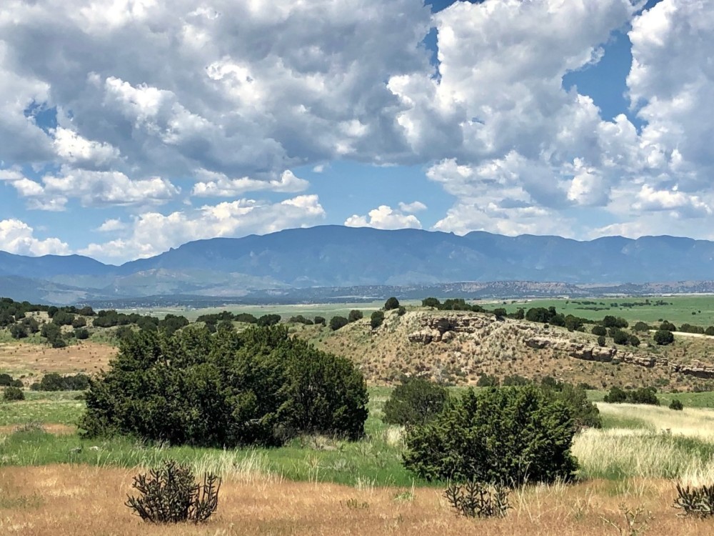 Stone Creek Ranch featured image