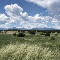 Stone Creek Ranch images 4