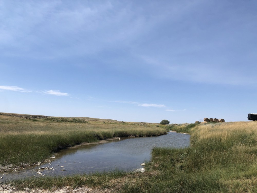 McWilliams Farm featured image