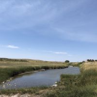 McWilliams Farm