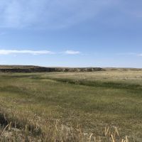 McWilliams Farm images 2