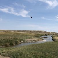 McWilliams Farm images 4