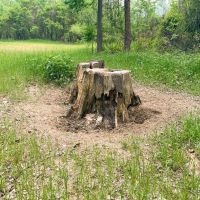 Waterfront Hunting Land for Sale in Port Gibson MS images 2