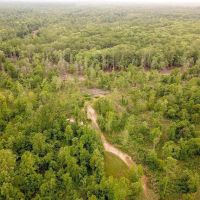 Waterfront Hunting Land for Sale in Port Gibson MS images 3