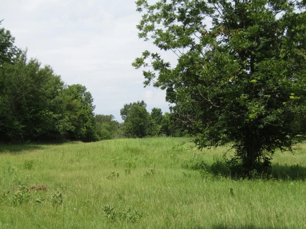 Prime Building Rolling Hill Tracts Choctaw County OK Tract 13 featured image