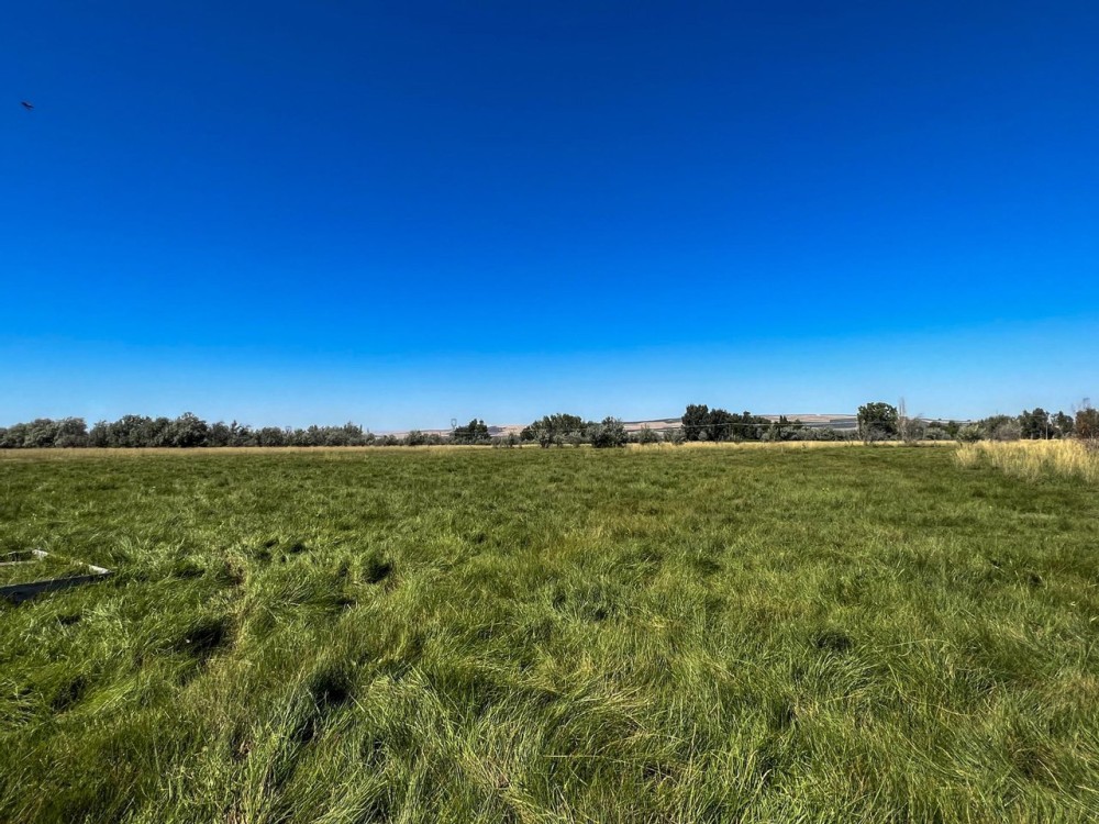 Boardman Irrigated Property featured image