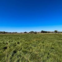 Boardman Irrigated Property images 1