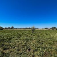 Boardman Irrigated Property images 2