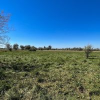 Boardman Irrigated Property images 3