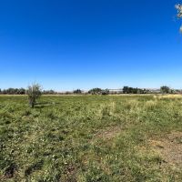 Boardman Irrigated Property images 4