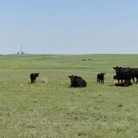Wright s Farm and Ranch