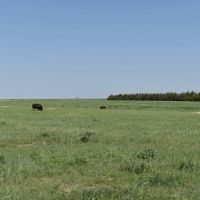 Wright s Farm and Ranch images 2