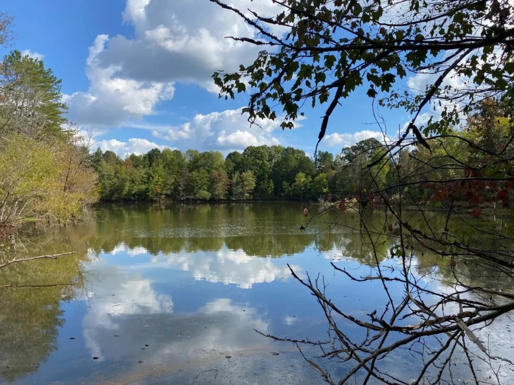 -172-Acres-Beautiful Farm Pond with Industrial Potential featured image