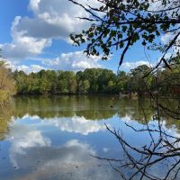 -172-Acres-Beautiful Farm Pond with Industrial Potential
