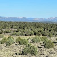 Incredible Elk Hunting Ranch in Chama Valley images 4