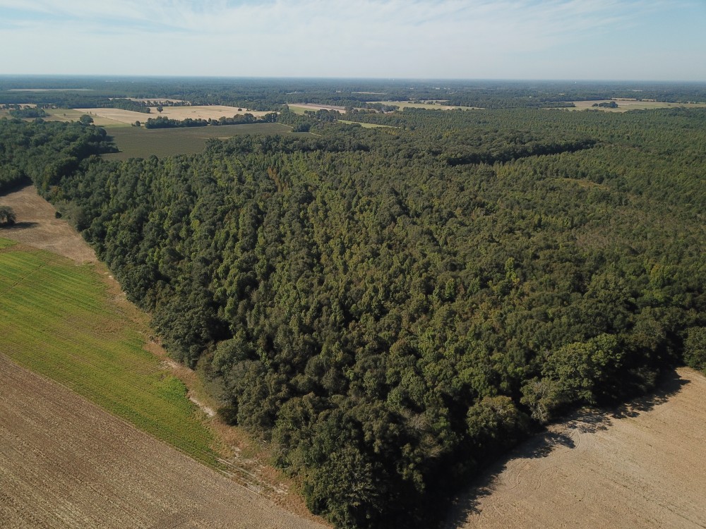 LA - Franklin 60.40 acres - featured image