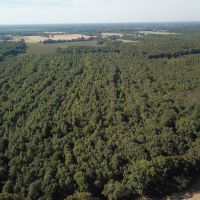 LA - Franklin 60.40 acres - images 2