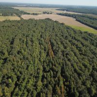 LA - Franklin 60.40 acres - images 3