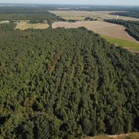 LA - Franklin 60.40 acres - images 4