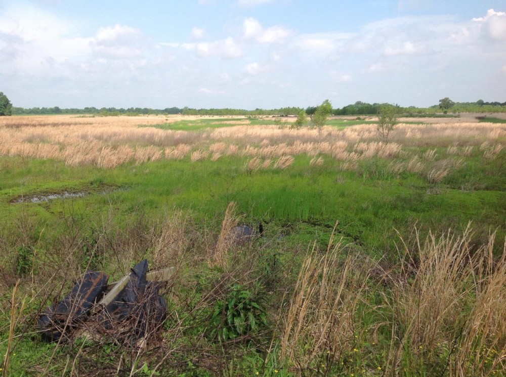 80 acres Arkansas duck deer hunting featured image