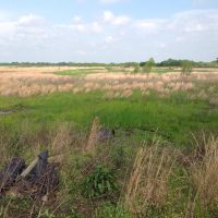 80 acres Arkansas duck deer hunting