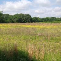 80 acres Arkansas duck deer hunting images 2