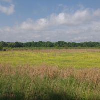 80 acres Arkansas duck deer hunting images 3