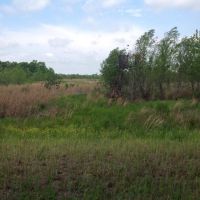 80 acres Arkansas duck deer hunting images 4