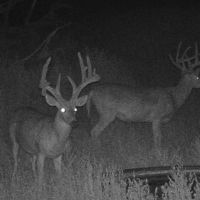 Hugoton 156