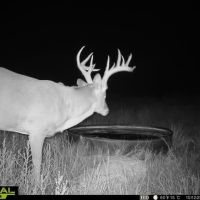 Hugoton 156 images 2