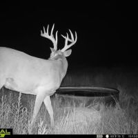 Hugoton 156 images 3