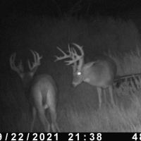 Hugoton 156 images 4