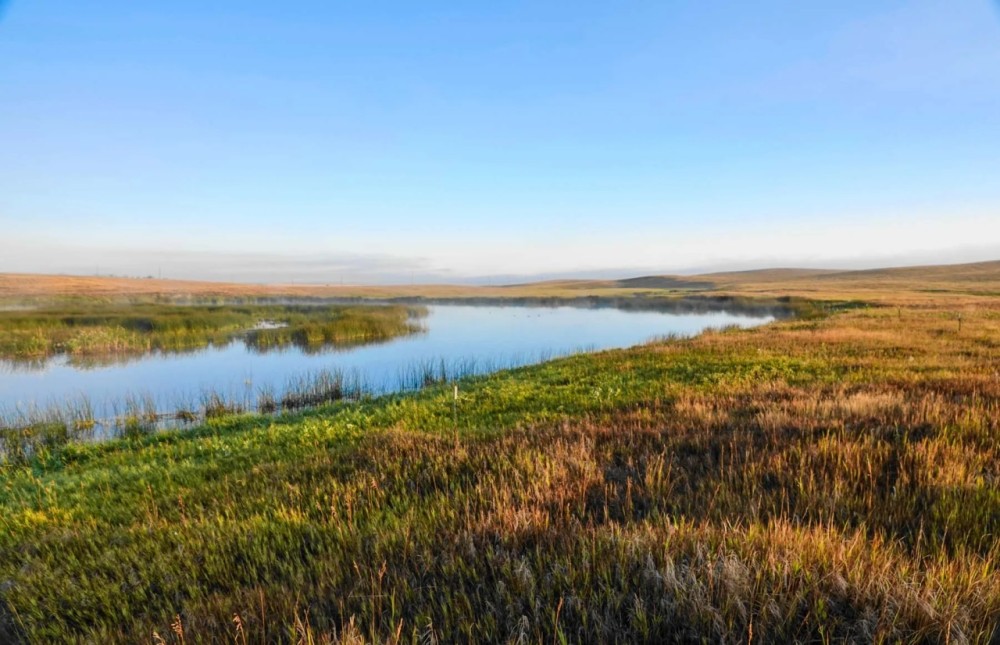 Sand Creek Bird Sanctuary featured image