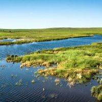 Sand Creek Bird Sanctuary images 4