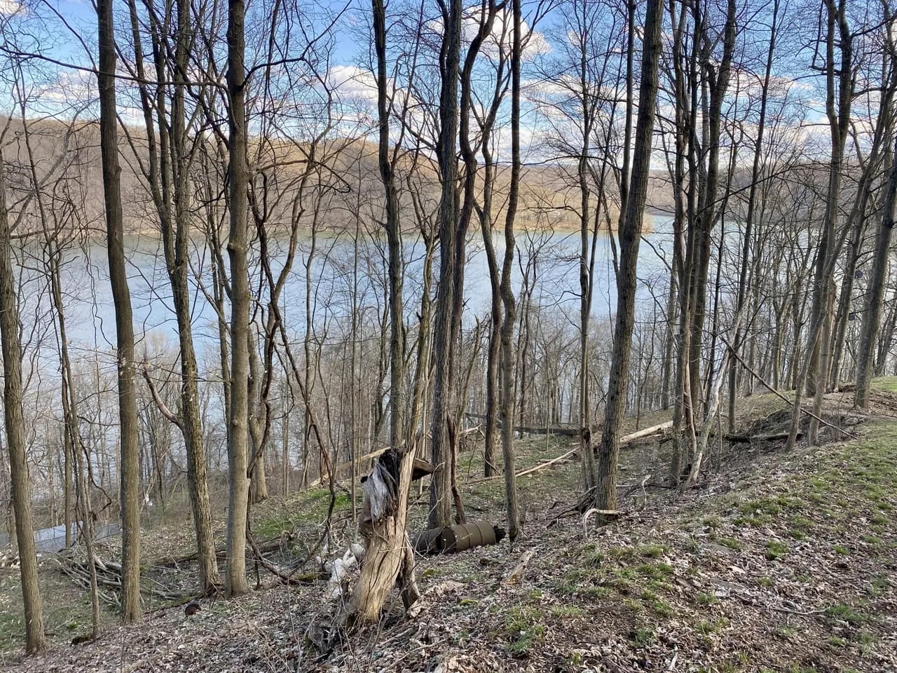 Yough Lake Big Bend Rd Acres Hunting Land for Sale HuntingLocator