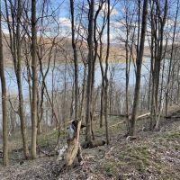 Yough Lake Big Bend Rd - Acres