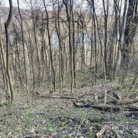 Yough Lake Big Bend Rd - Acres images 2