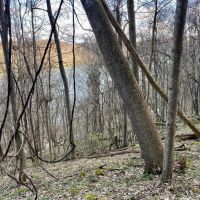 Yough Lake Big Bend Rd - Acres images 3